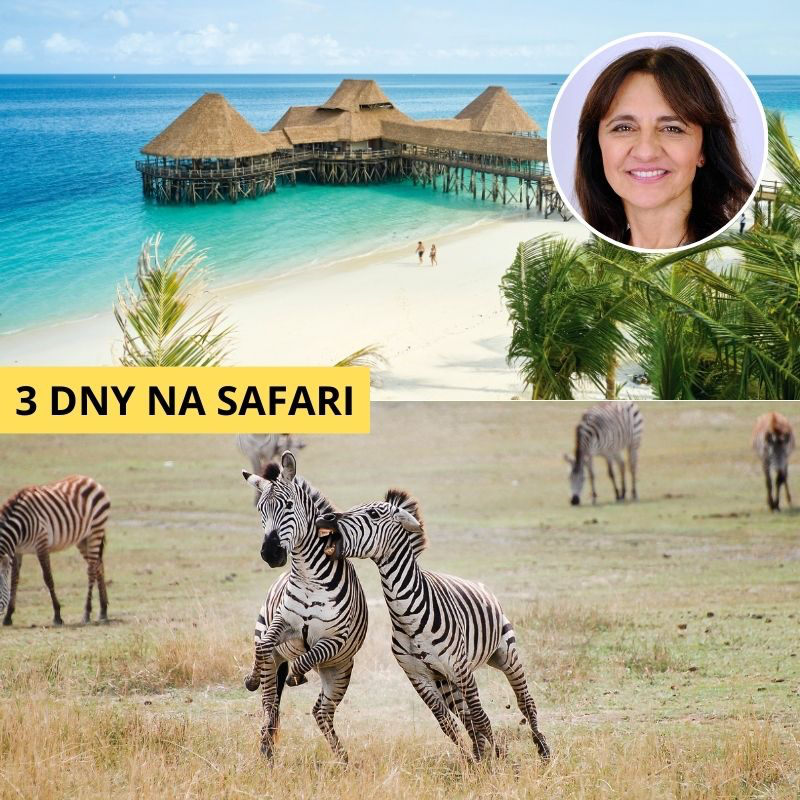 Safari Hero